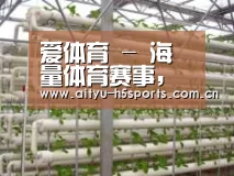 环境展示六