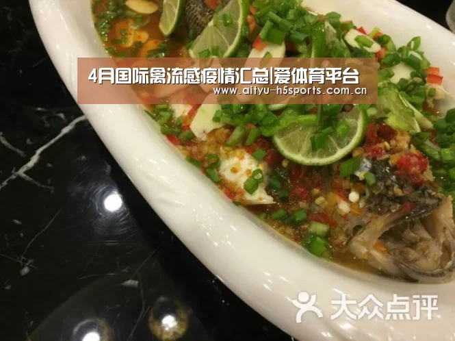 爱体育入口