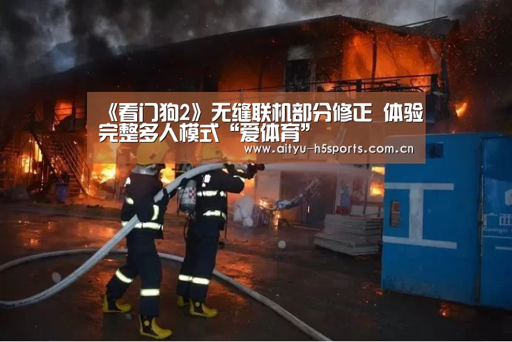 《看门狗2》无缝联机部分修正 体验完整多人模式“爱体育”(图3) 爱体育官方网站