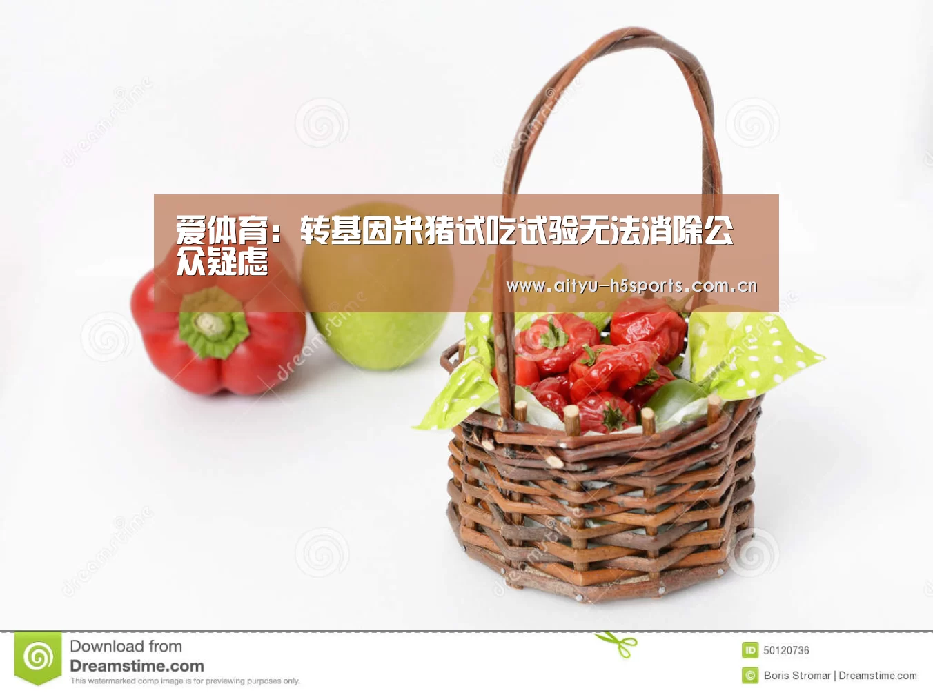 爱体育:转基因米猪试吃试验无法消除公众疑虑(图1) 爱体育平台