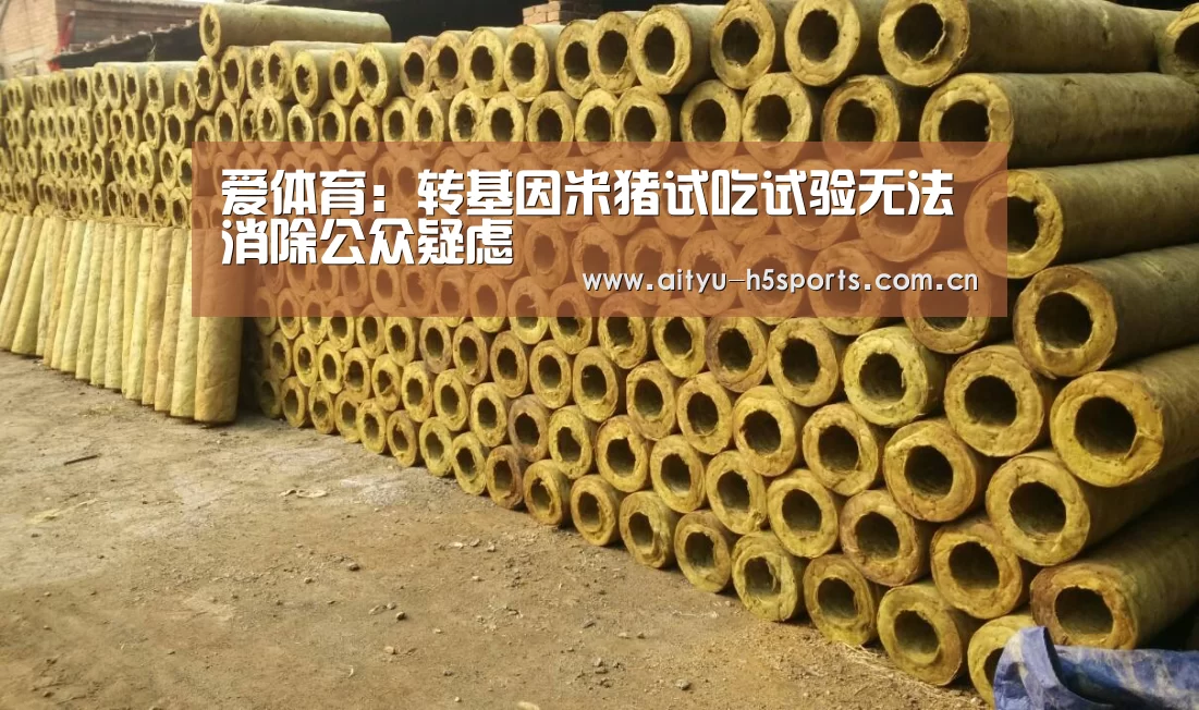 爱体育:转基因米猪试吃试验无法消除公众疑虑(图2) 爱体育APP
