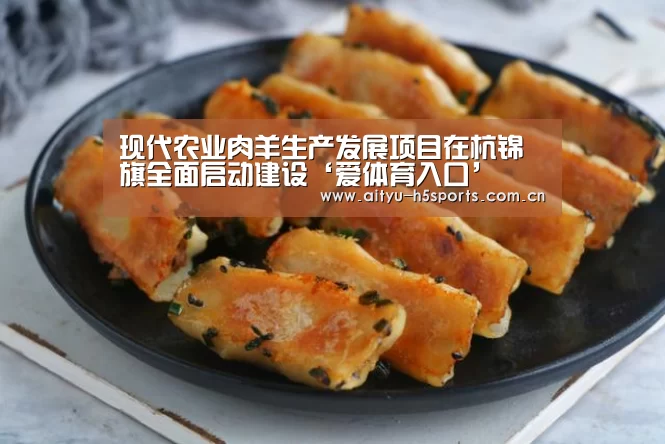 爱体育平台
