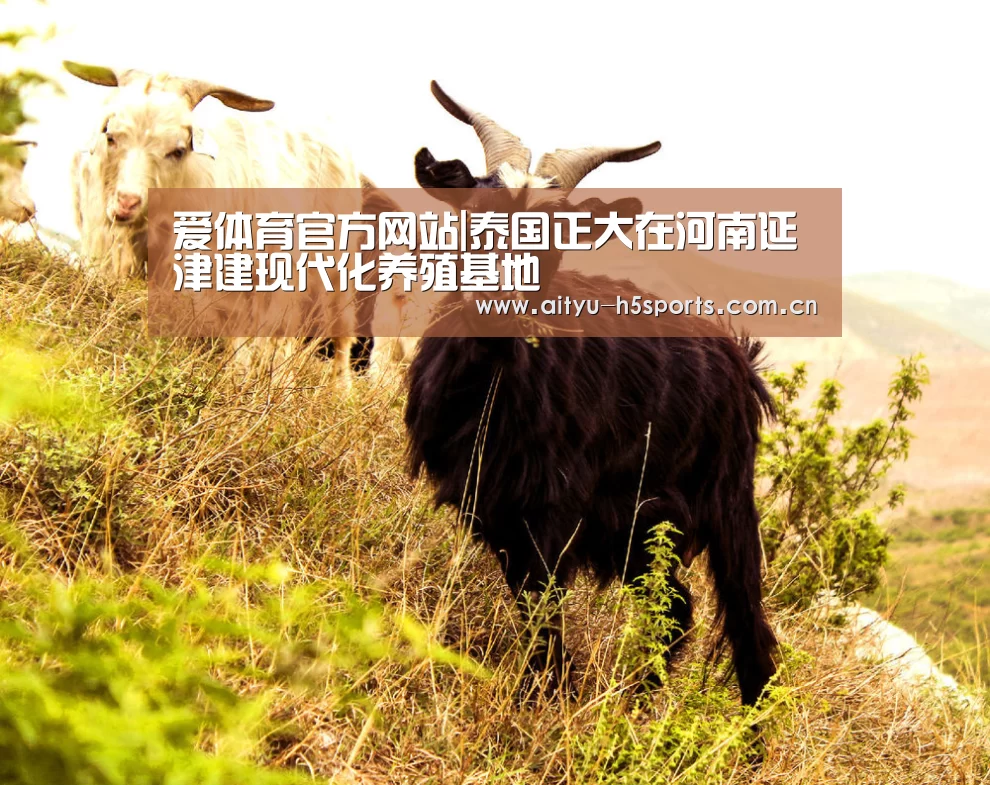 爱体育官方网站|泰国正大在河南延津建现代化养殖基地(图4) 爱体育入口